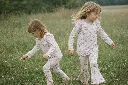 rozowe kwiaty pole.webp